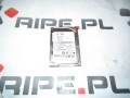 DSCF9078.JPG
