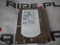 DSCF9089.JPG