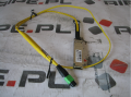 MOLEX1.png