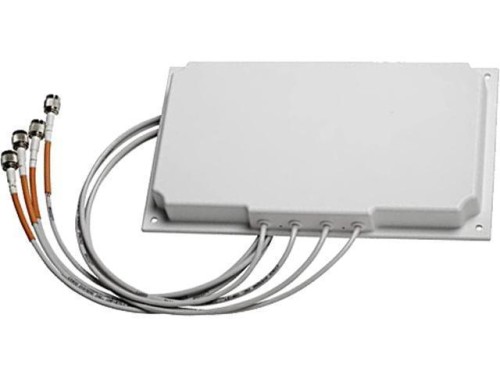 ant2566.jpg