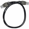 Cisco Stack-t1-1m.png