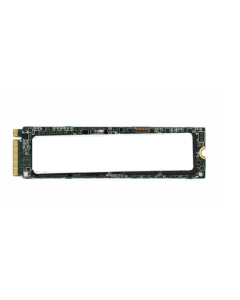UNION MEMORY 256GB NVMe SSS0L25132  00UP706